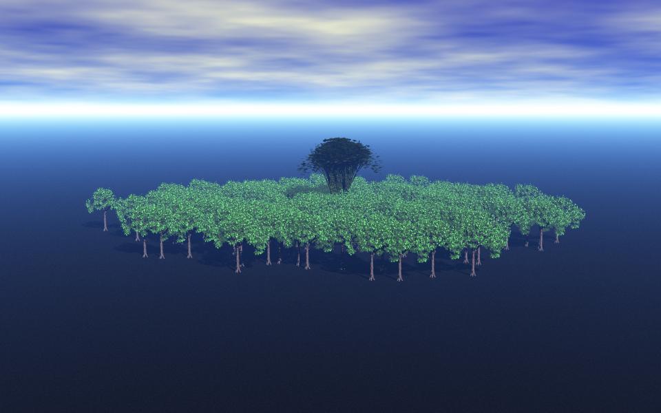 forest