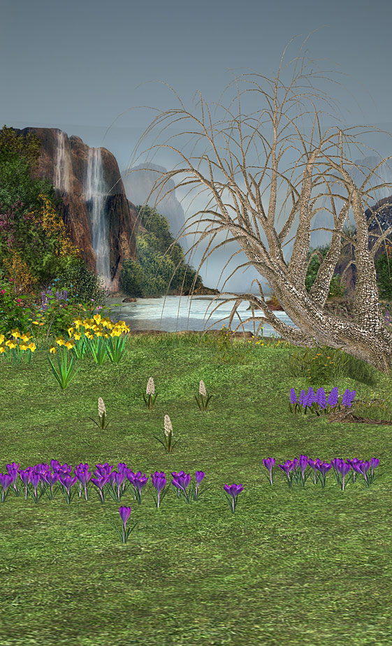Fairy Spring